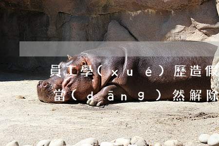 員工學(xué)歷造假企業(yè)可否當(dāng)然解除勞動(dòng)合同？